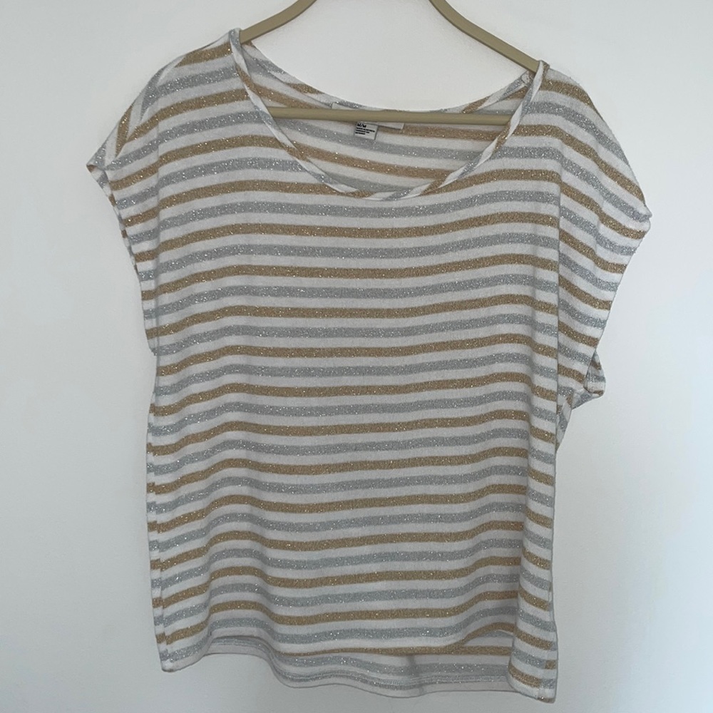 Gold and Silver Striped Shimmery Top